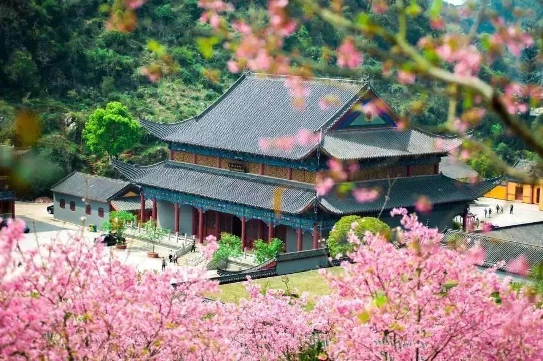 “寺”曾相識，禪音共鳴--公信網(wǎng)絡廣播解決方案