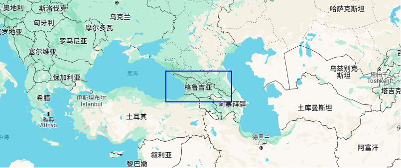 格魯吉亞各領域國際合作交流會議，公信榮幸助力其中